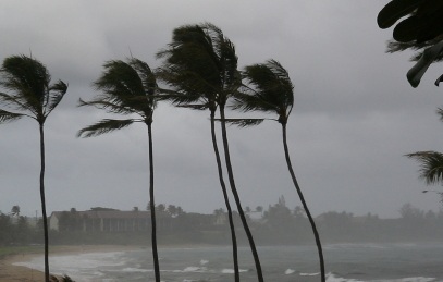 Miami Storm Damage Restoration